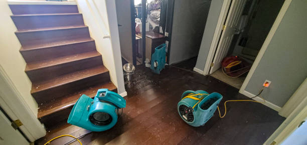 Best Sewage cleanup and water damage restoration  in Ovilla, TX