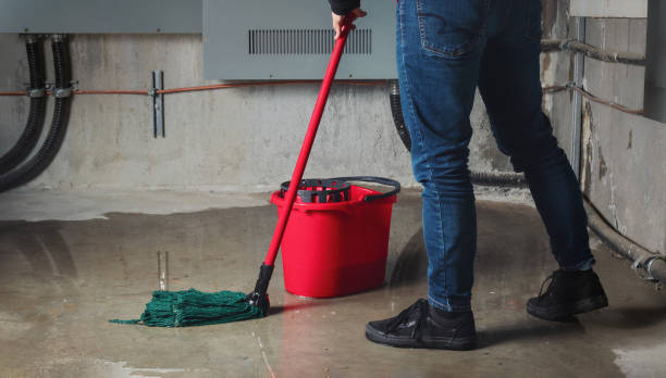 Best Basement water damage restoration  in Ovilla, TX