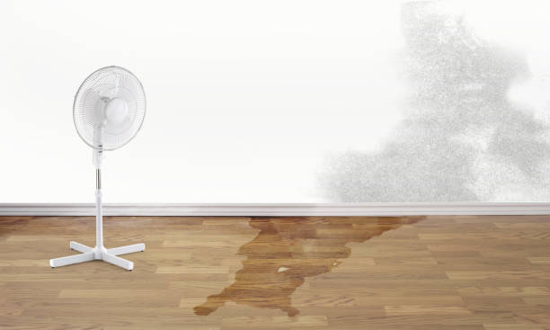 Trusted Ovilla, TX Water damage restoration Experts