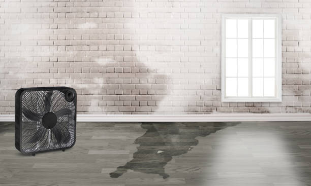 Local water damage restoration in Ovilla, TX