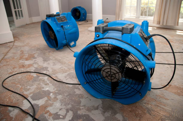 Best Water damage restoration experts  in Ovilla, TX
